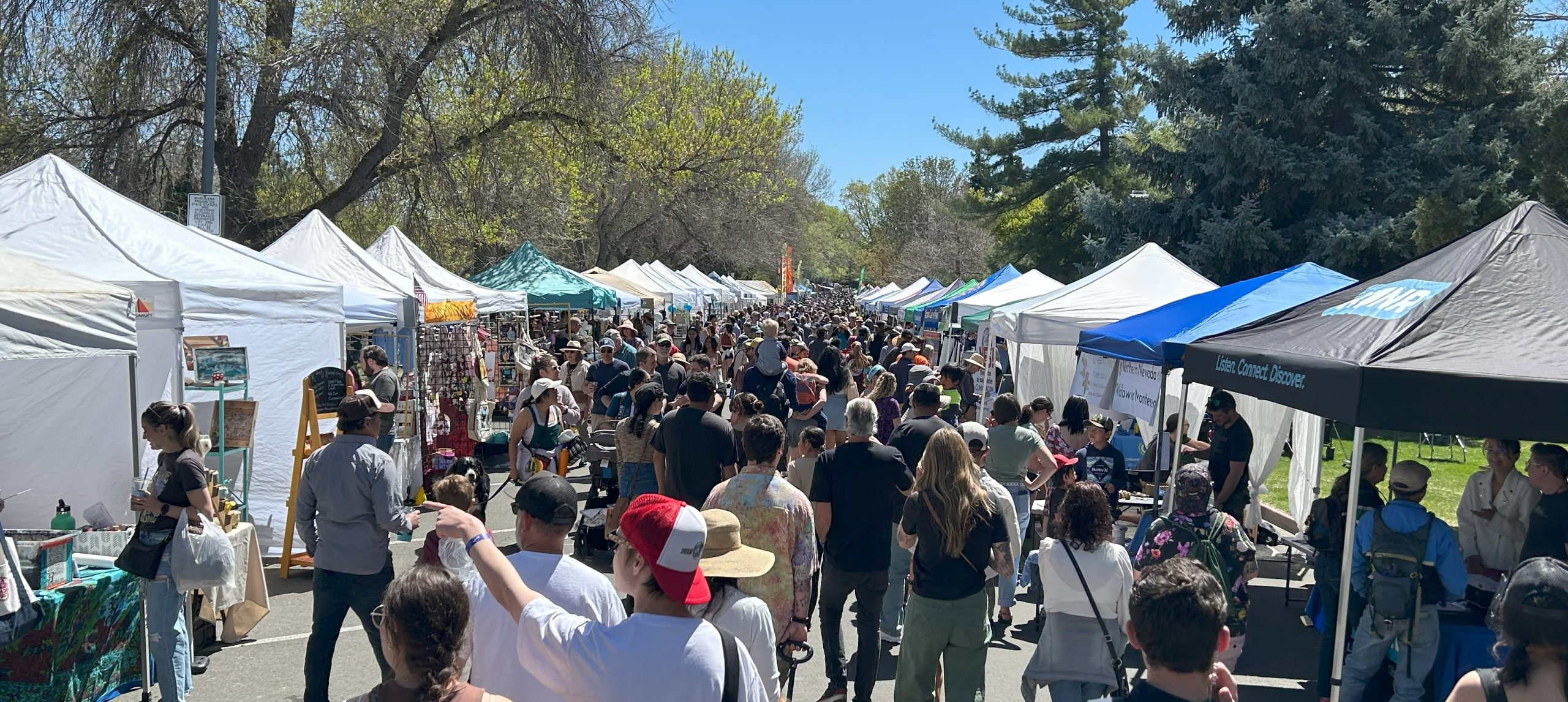 Earth Day, Compost Survey and Dark Skies