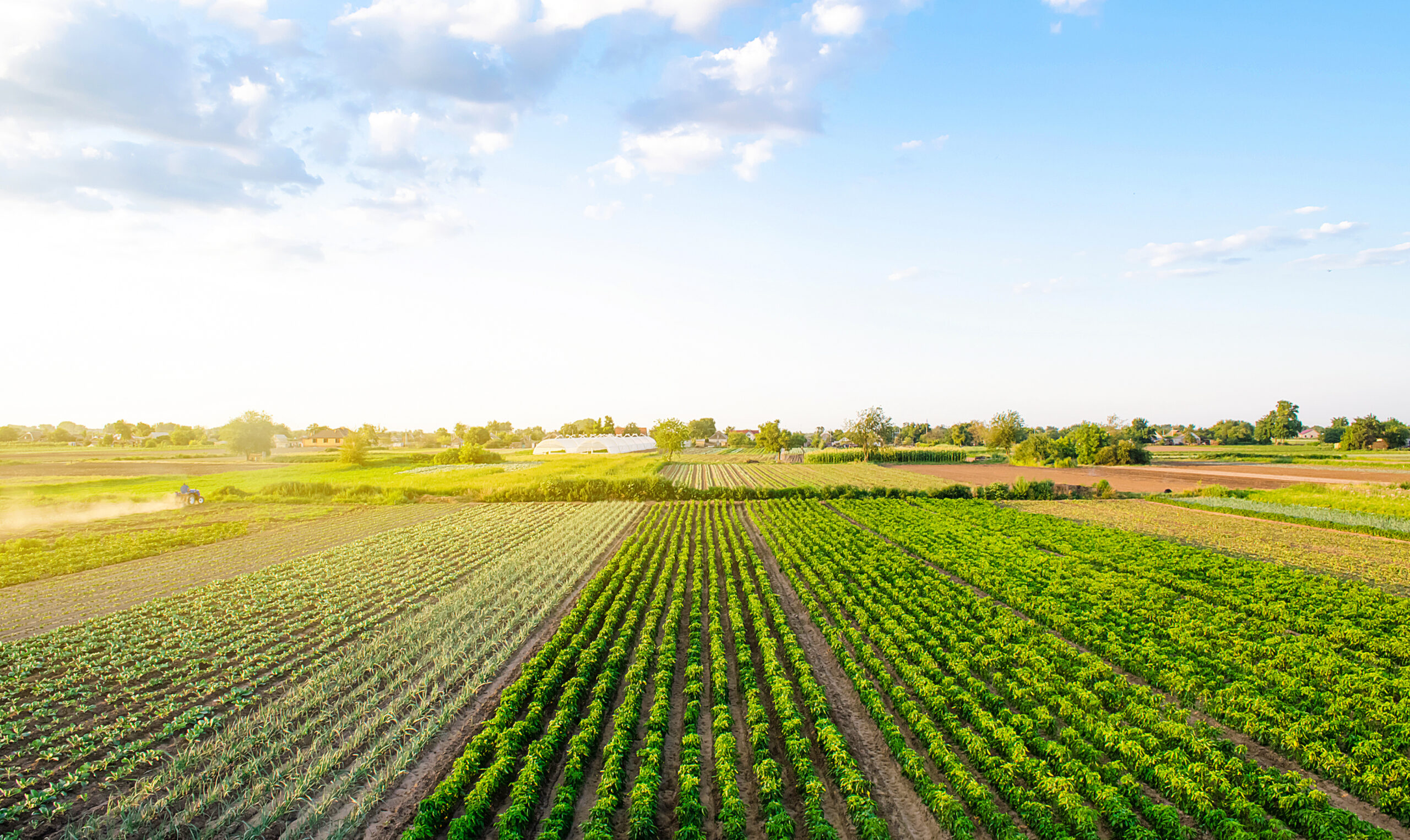 How Bernalillo County Is Preserving Agricultural Land and Building Food Resilience Through FUSE Partnership